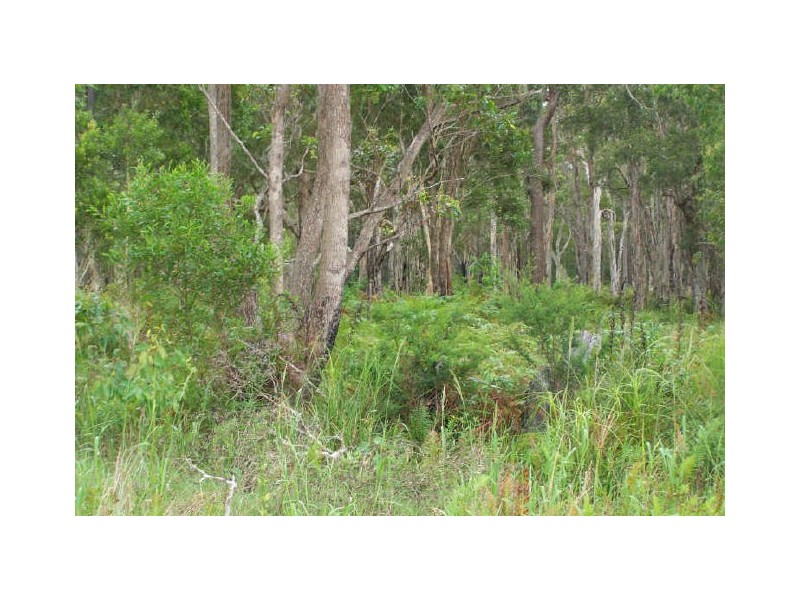 29 Cambage Street, Pindimar NSW 2324