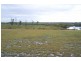 74 Windward Cct, Tea Gardens NSW 2324