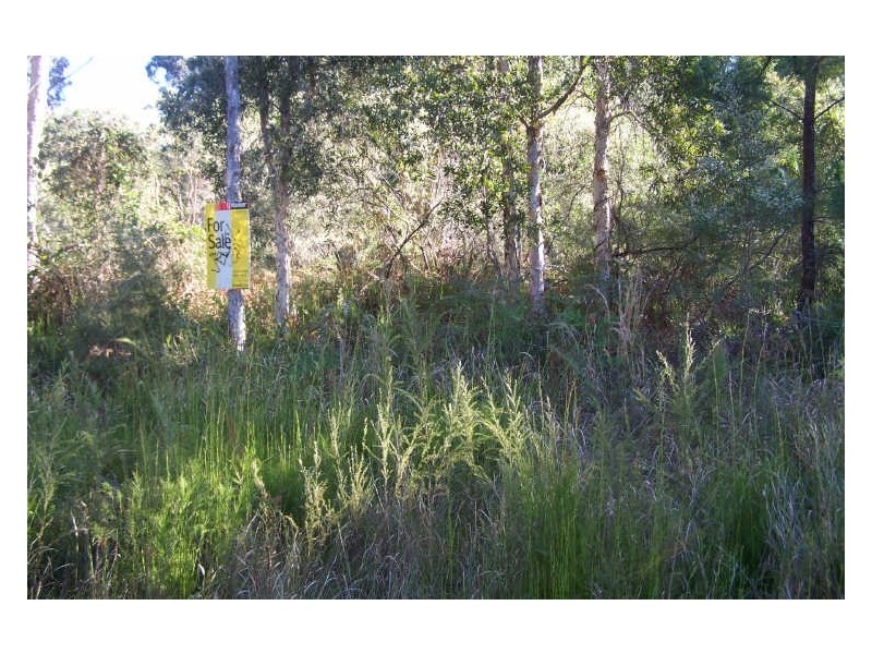 Lot 20 Chauvel Street, Pindimar NSW 2324