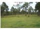 183 Pindimar Road, Pindimar NSW 2324