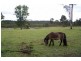 183 Pindimar Road, Pindimar NSW 2324