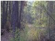 Lot 12 Bundabah Road, Bundabah NSW 2324
