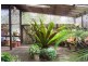 14 Motum Street, Tea Gardens NSW 2324