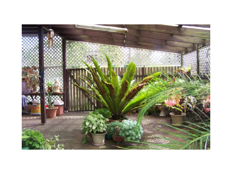 14 Motum Street, Tea Gardens NSW 2324