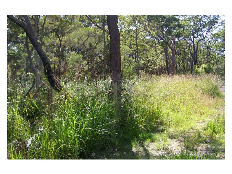 Lot 7 SH Nardoo Street, Pindimar NSW 2324