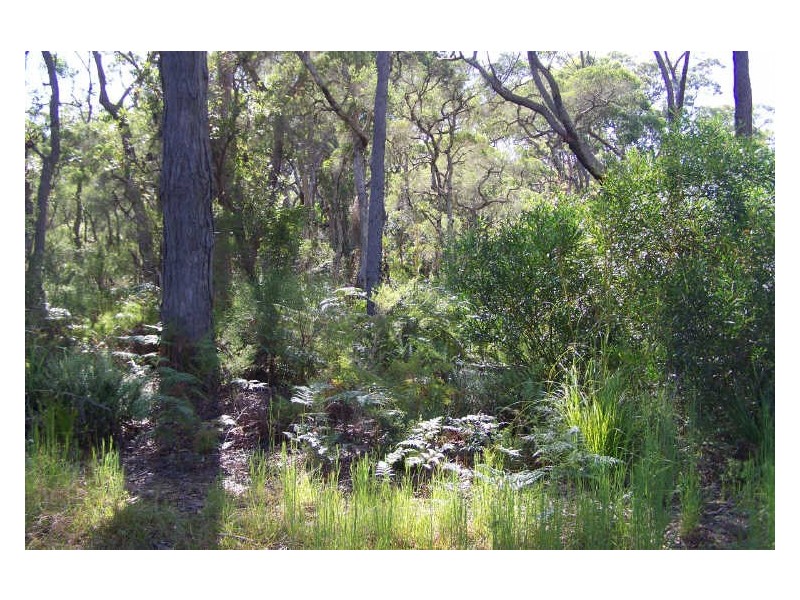 Lot 7 SH Nardoo Street, Pindimar NSW 2324