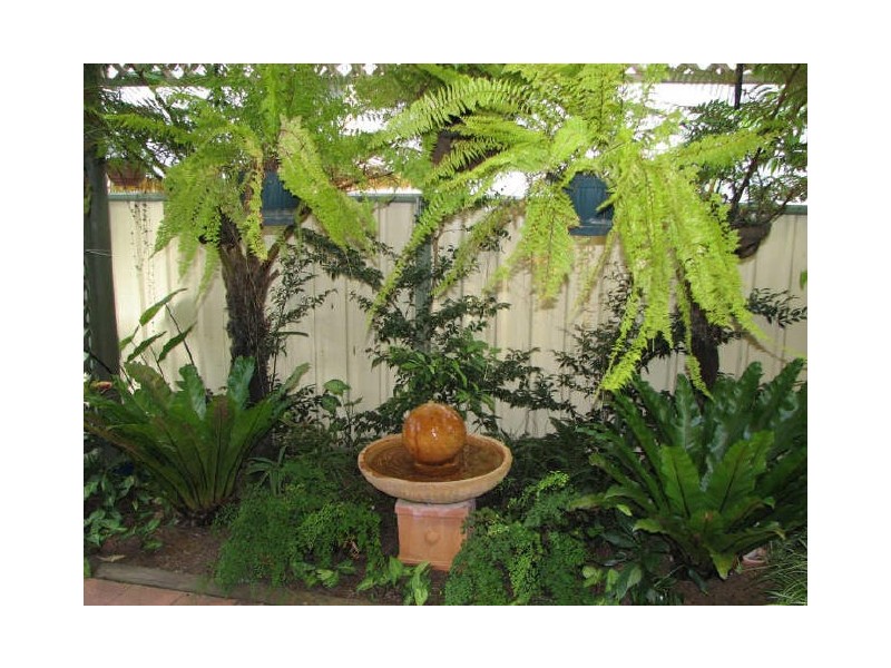 14 Heron Street, Nerong NSW 2423