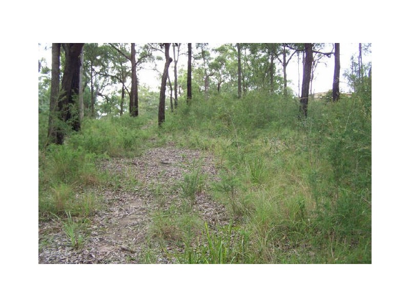 7 Cove Avenue, Bundabah NSW 2324