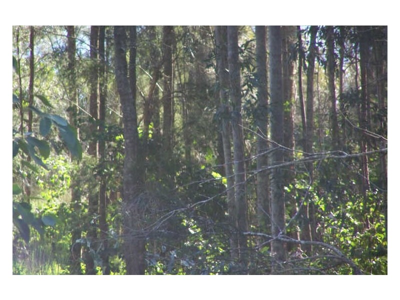 27 Pleasant View Parade, Bundabah NSW 2324