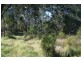 Lot 6 Myall Street, Pindimar NSW 2324