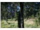 Lot 6 Myall Street, Pindimar NSW 2324