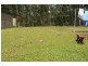 33 Curlew Cresent, Nerong NSW 2423