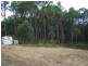 105 Clarke Street, Pindimar NSW 2324