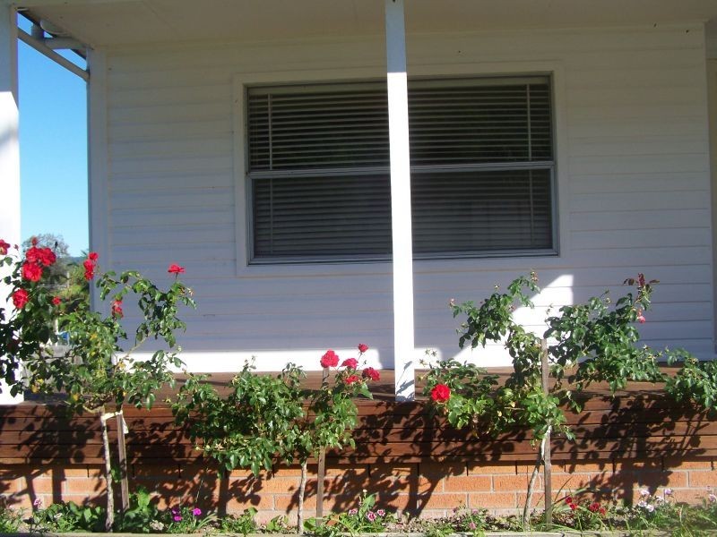 79 Booloembayte Street, Bulahdelah NSW 2423