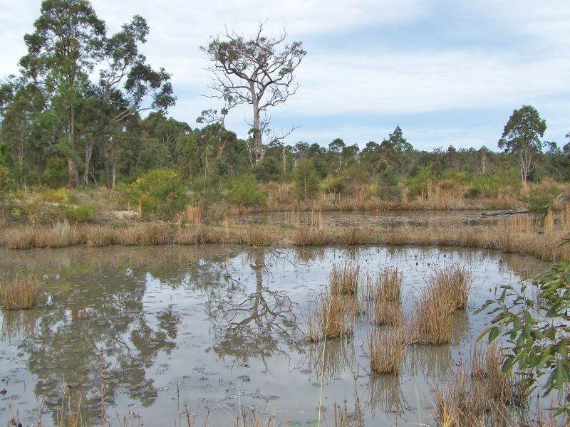 6408 Pacific Highway, Tea Gardens NSW 2324