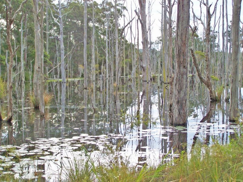 6408 Pacific Highway, Tea Gardens NSW 2324