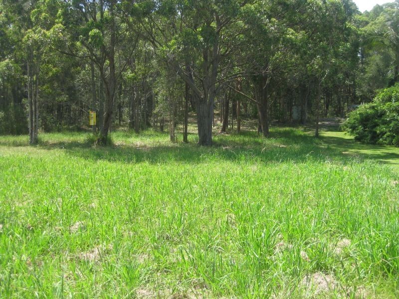 1 Whimbrel Drive, Nerong NSW 2423