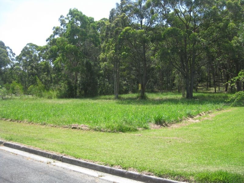 1 Whimbrel Drive, Nerong NSW 2423