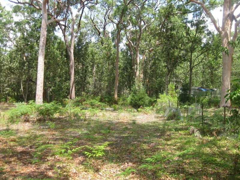 123 Koree Street, Pindimar NSW 2324