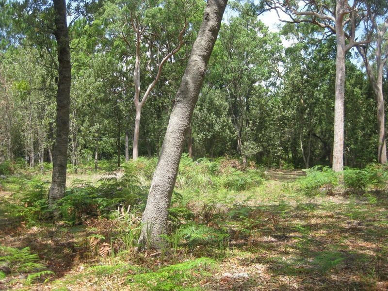 123 Koree Street, Pindimar NSW 2324