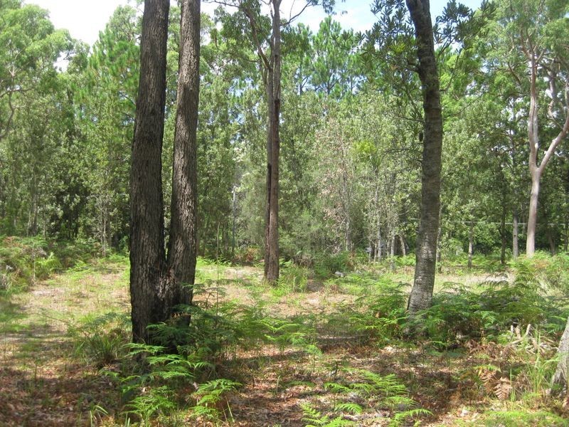 123 Koree Street, Pindimar NSW 2324