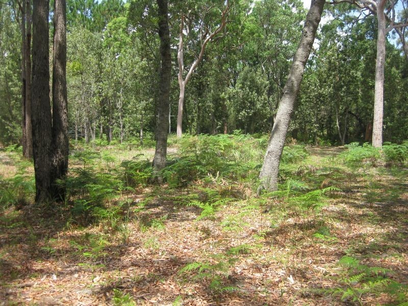 123 Koree Street, Pindimar NSW 2324