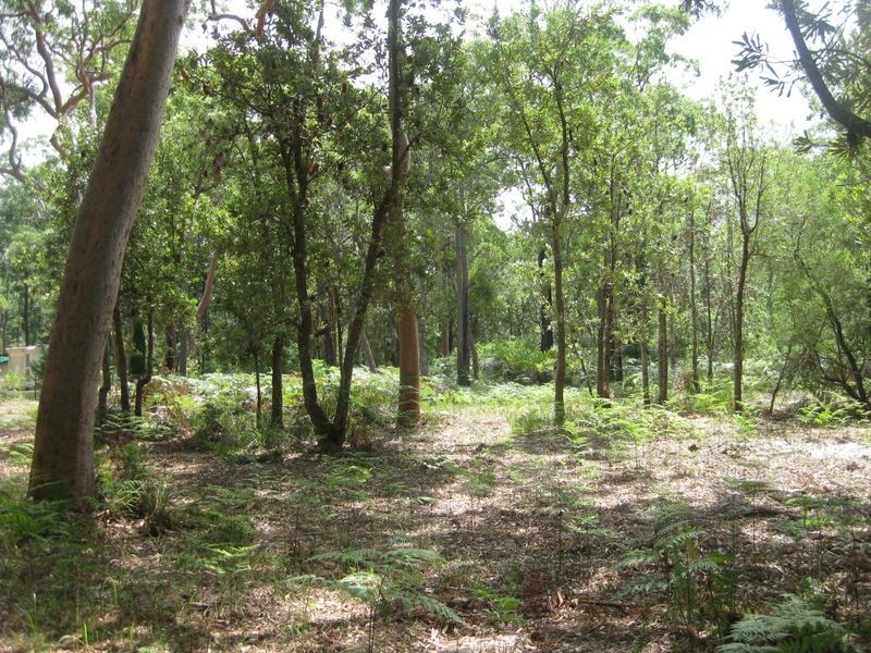 123 Koree Street, Pindimar NSW 2324