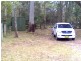 12 Myall Street, Pindimar NSW 2324