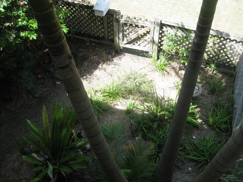 2/5 Coorilla Street, Hawks Nest NSW 2324