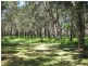 14 Monterra Avenue, Hawks Nest NSW 2324