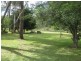254 Warri Street, Pindimar NSW 2324
