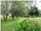 254 Warri Street, Pindimar NSW 2324