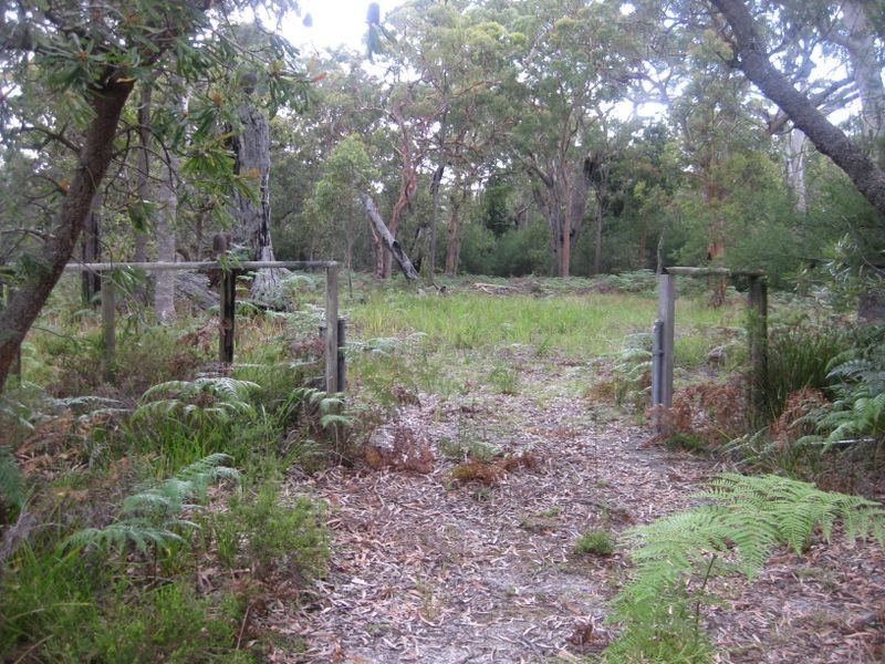 Lot 17 Nardoo Street, Pindimar NSW 2324