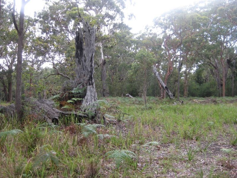 Lot 17 Nardoo Street, Pindimar NSW 2324