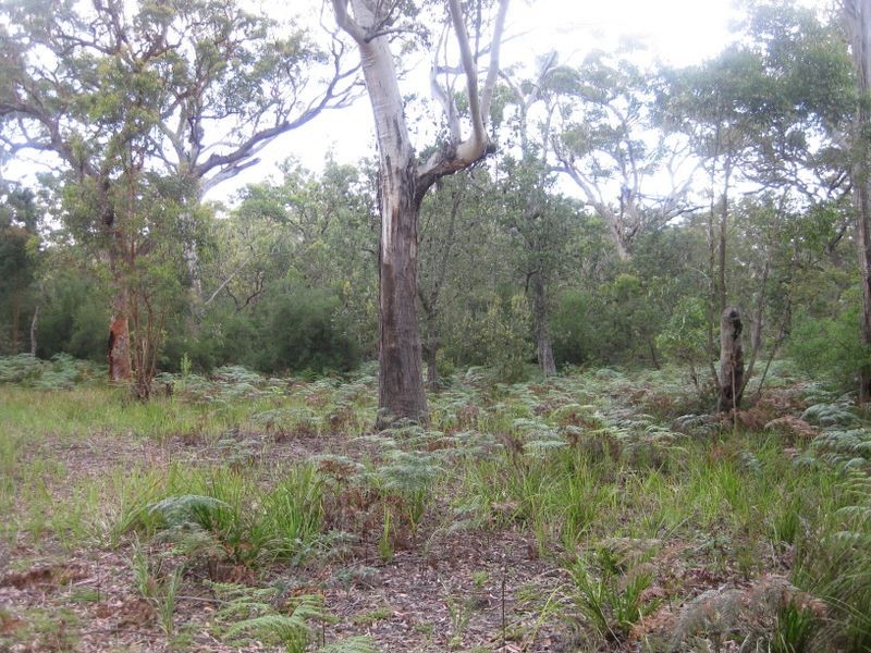 Lot 17 Nardoo Street, Pindimar NSW 2324