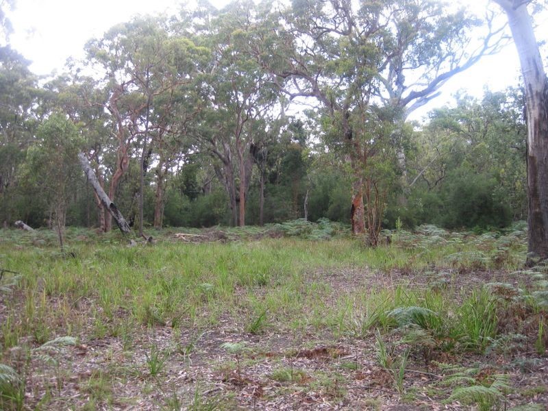 Lot 17 Nardoo Street, Pindimar NSW 2324
