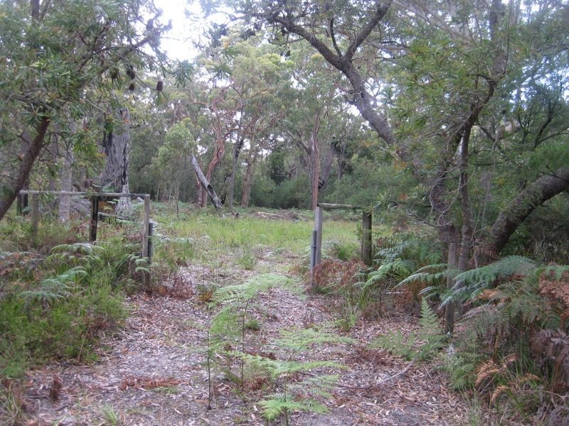 Lot 17 Nardoo Street, Pindimar NSW 2324