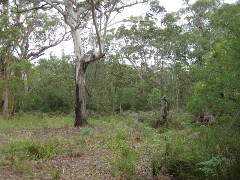 Lot 17 Nardoo Street, Pindimar NSW 2324