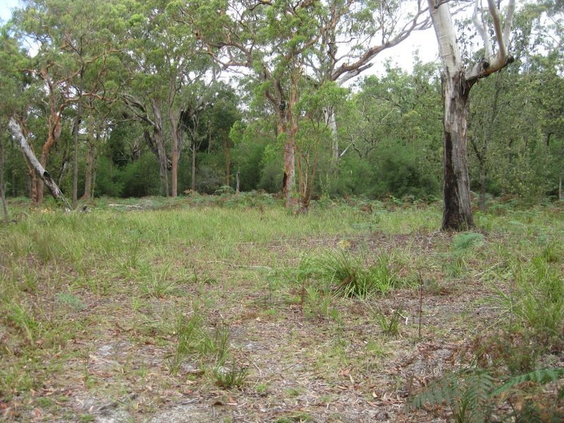 Lot 17 Nardoo Street, Pindimar NSW 2324