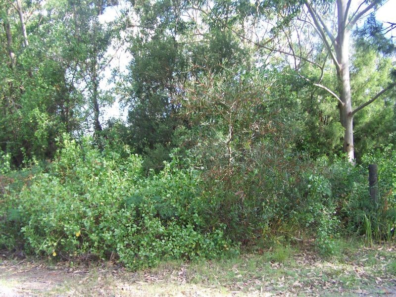 8 Myall Street, Pindimar NSW 2324