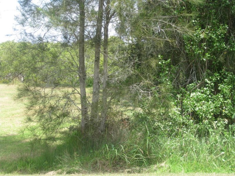 42 Bayview Street, Tea Gardens NSW 2324