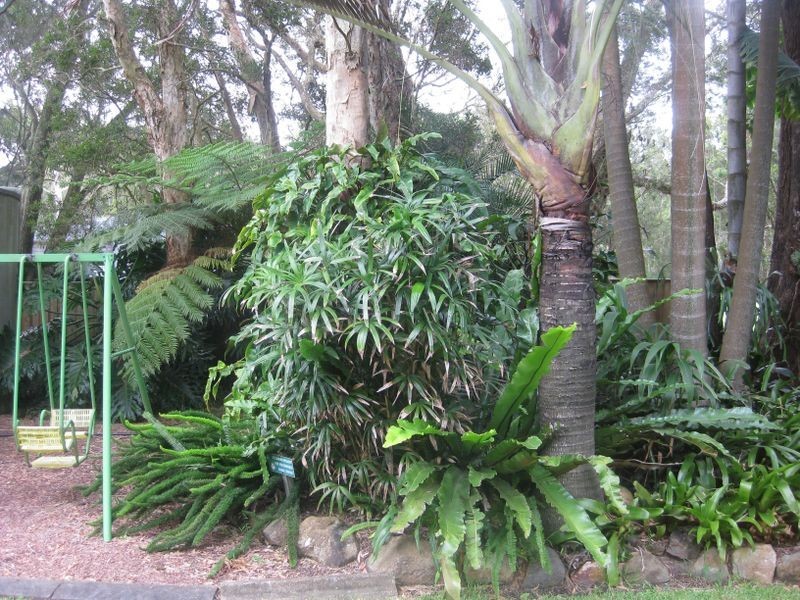 34 Cunningham Street, Pindimar NSW 2324