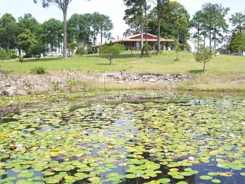 40 Clarke Street, Pindimar NSW 2324