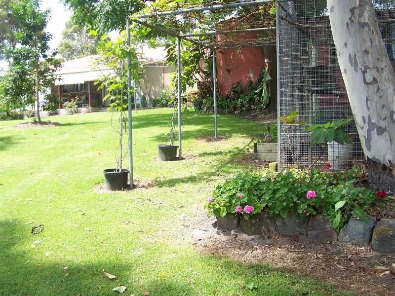 40 Clarke Street, Pindimar NSW 2324