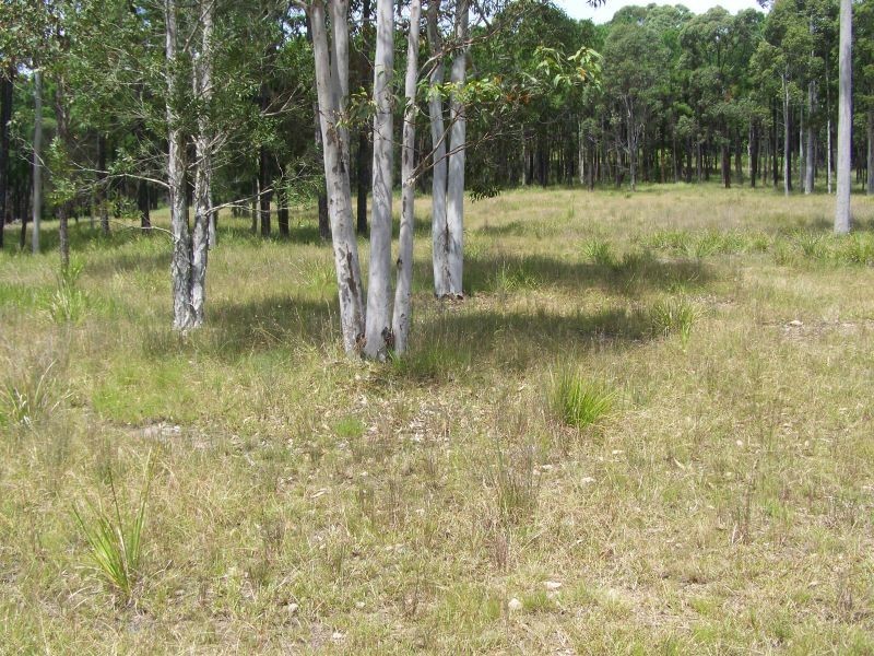 40 Clarke Street, Pindimar NSW 2324