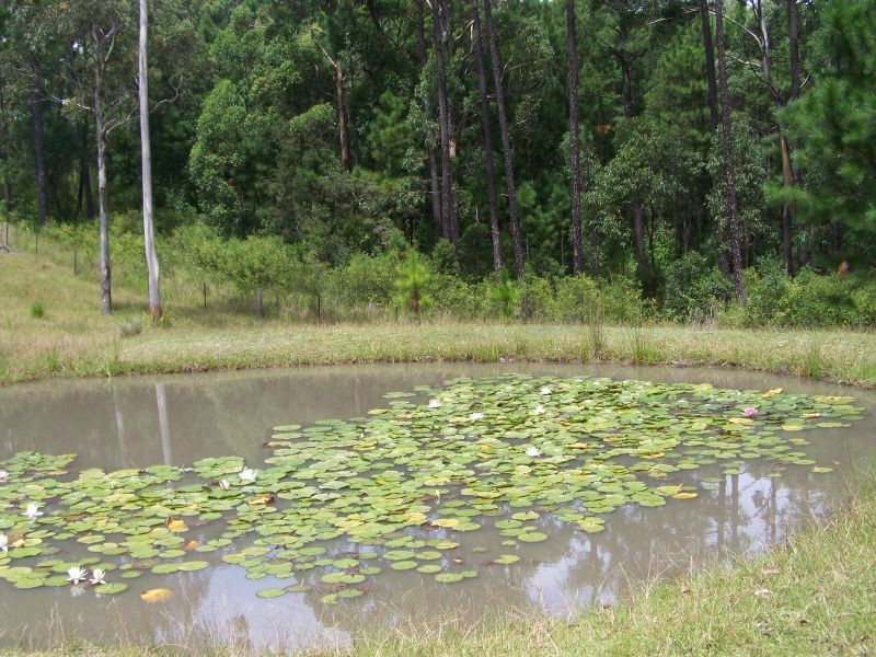 40 Clarke Street, Pindimar NSW 2324