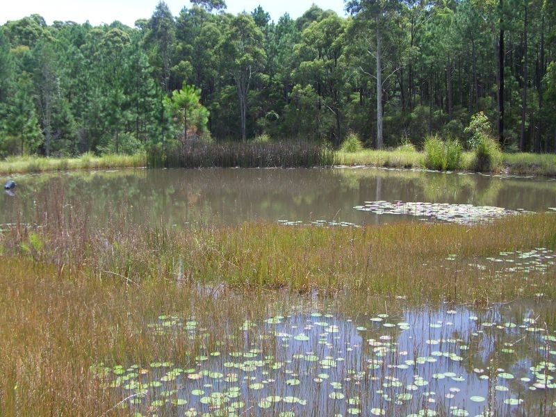 40 Clarke Street, Pindimar NSW 2324