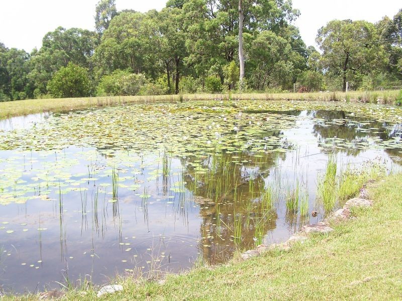 40 Clarke Street, Pindimar NSW 2324