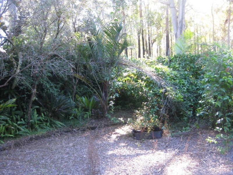 24 Redbill Road, Nerong NSW 2423