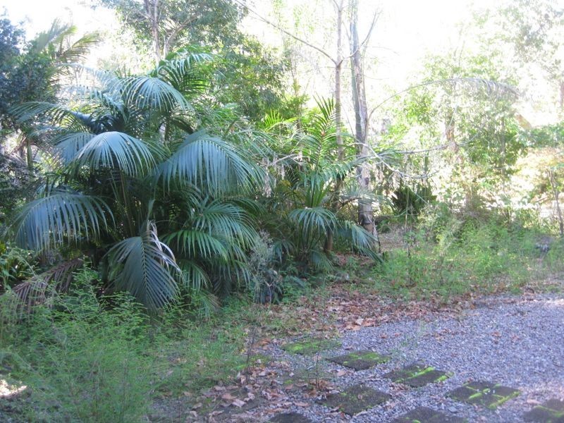 24 Redbill Road, Nerong NSW 2423